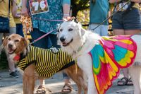 Tricks-n-Treats Dog Festival
