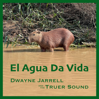 El Agua Da Vida by Dwayne Jarrell and the Truer Sound