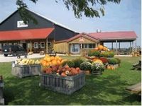 Evans Orchard