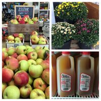 Evans Orchard Harvest Festival