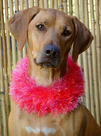 Always the glamour girl, Hermani displays her lovely face & intelligent, soulful expression

