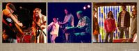 Bluegrass/Folk Night @ Smith's!
