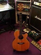 Takamine Santa fe
