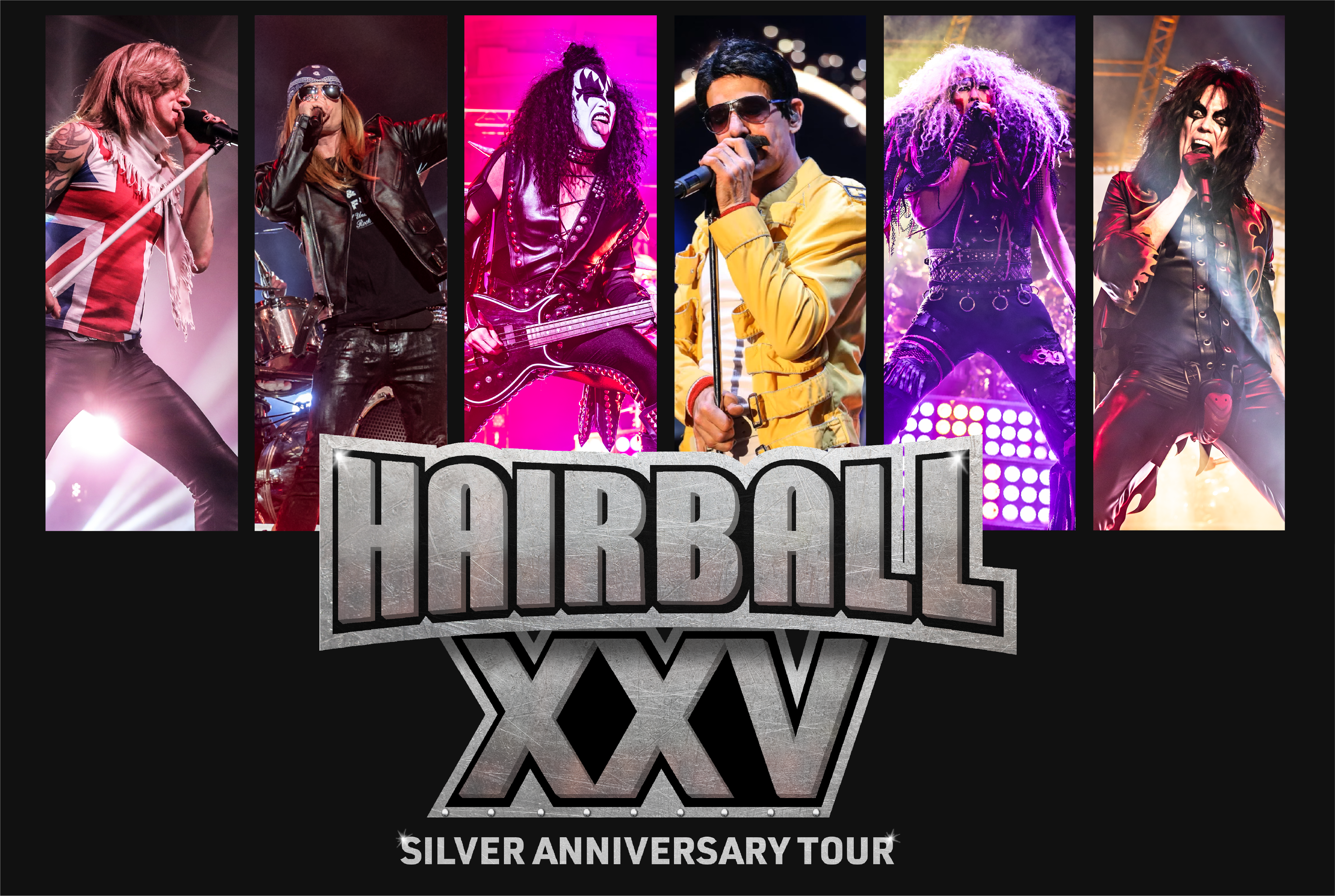 Hairball photo