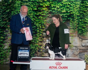 Biscuit wins a Group 1 in the Beginner Puppy competition out of a lovely field of puppies. Thank you to Judge Mr. Gary Andersen.

