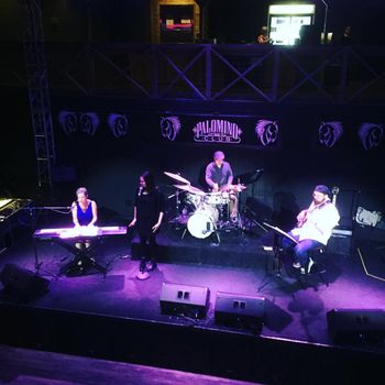 Palomino Gig
