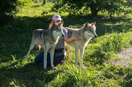 Gaby Dufresne Cyr between two wolves