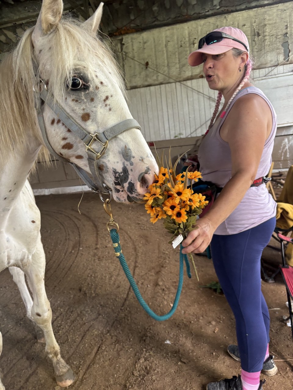 Gaby Dufresne-Cyr training a appaloosa foal to make choices during a horse training session