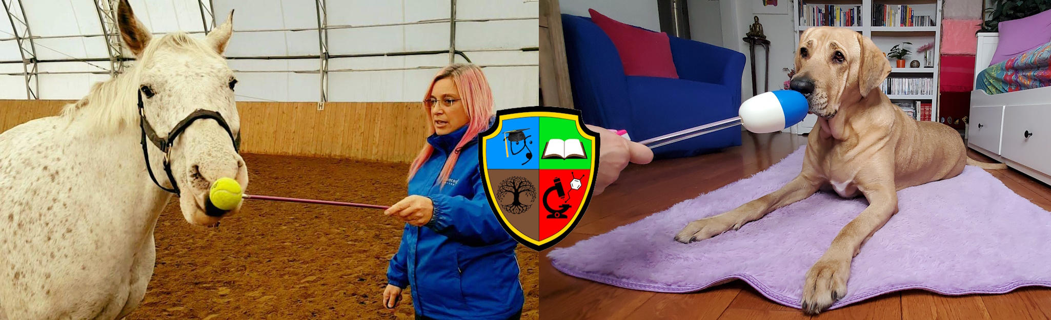 Gaby Dufresne-Cyr ratget training a horse on the left of the image and a dog on the right side