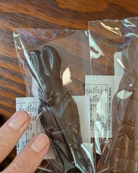 Two fingers holding two small chocolate bunnies