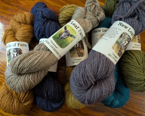 Skeins of wool
