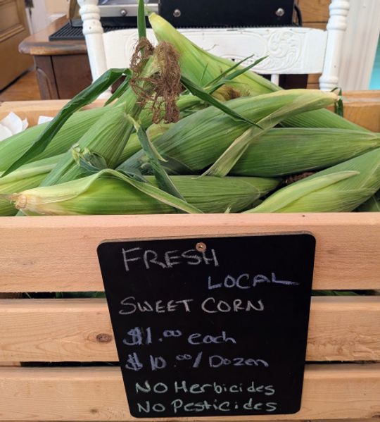 Corn on the cob from the field in a crate