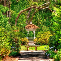 Leu Gardens