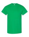 Blank Unisex T-Shirt (73 Available Colors)