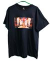 The Stray (Wrestling Cat T-Shirt)