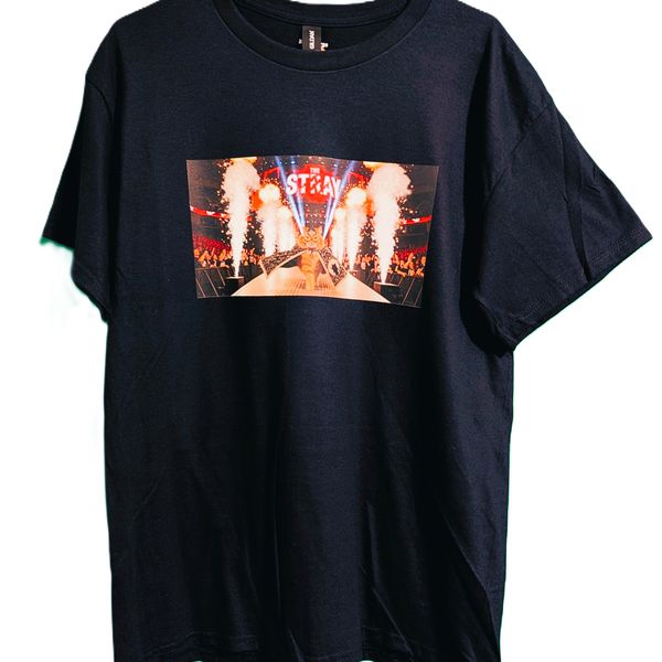 The Stray (Wrestling Cat T-Shirt)
