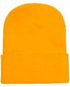 Cuffed Beanie (19 Colors Available)