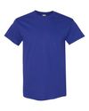 Blank Unisex T-Shirt (73 Available Colors)