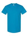 Blank Unisex T-Shirt (73 Available Colors)