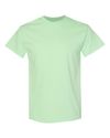 Blank Unisex T-Shirt (73 Available Colors)