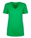 Women's V Neck T-Shirt (18 Colors Available)