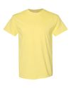 Blank Unisex T-Shirt (73 Available Colors)
