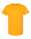 Blank Unisex T-Shirt (73 Available Colors)