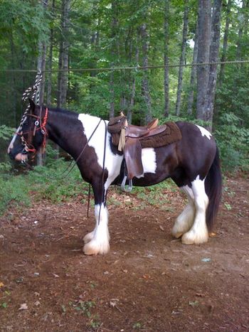 Break time on the trail
