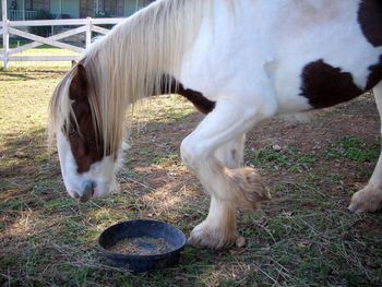 Rogie loves feeding time!
