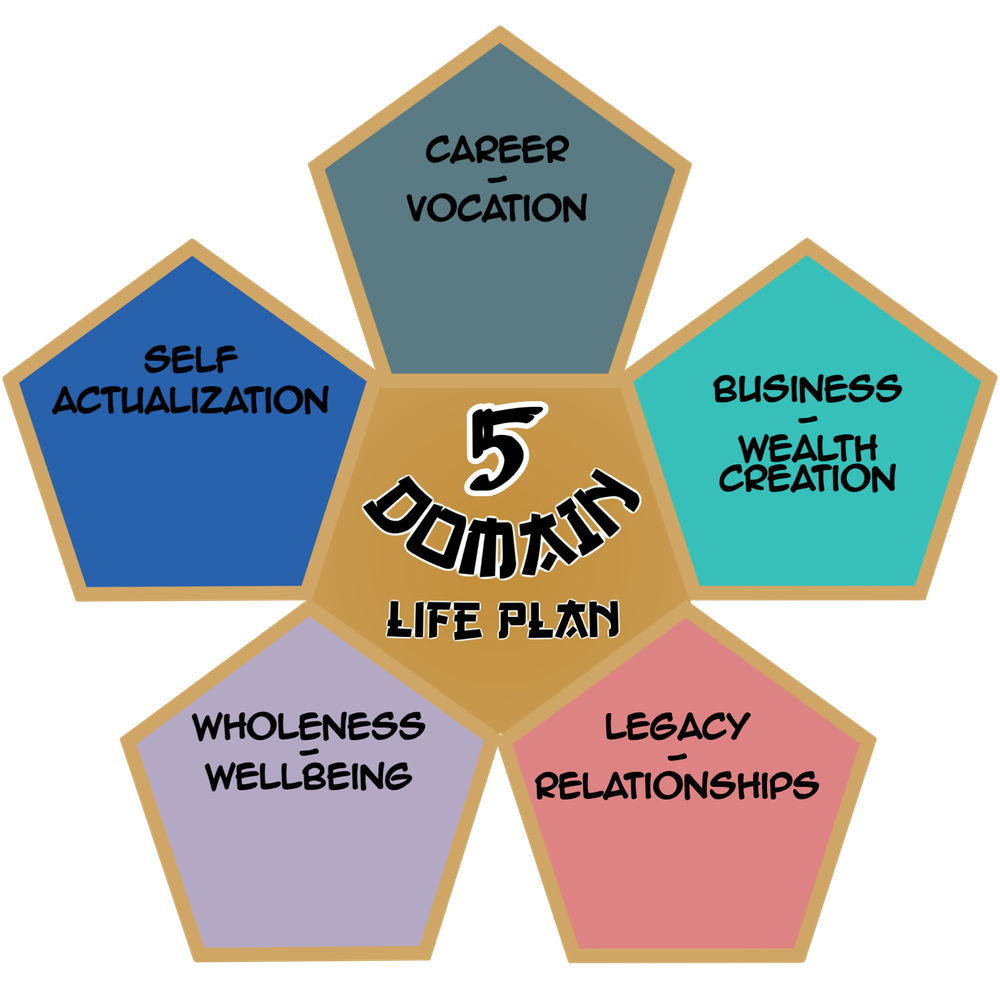 5 domain, life coach, life planning, goal planning, setting goals,