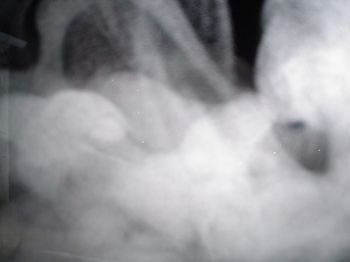 Ghost PIC! Tilt your head to the right side to view him he is on an angle.
