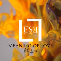 Meaning of Love feat. Lucia - EP by LESEL
