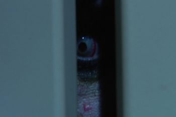 Stacey Dixon " The Eye of the Entity"
