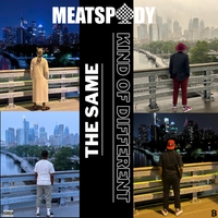 The Same Kind of Different  by MeatSpady