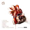 Gold To Rust - CD