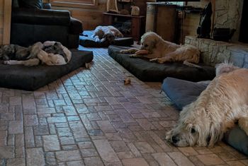 me and the gang
