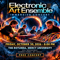 Electronic Art Ensemble Immersive Concert