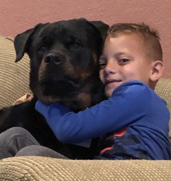 Atlas von Blitzenhaus aka Harley, loved and spoiled
