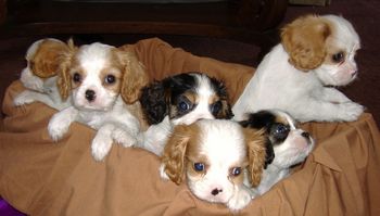 Try to keep these guys still for a minute. Yeah right!
