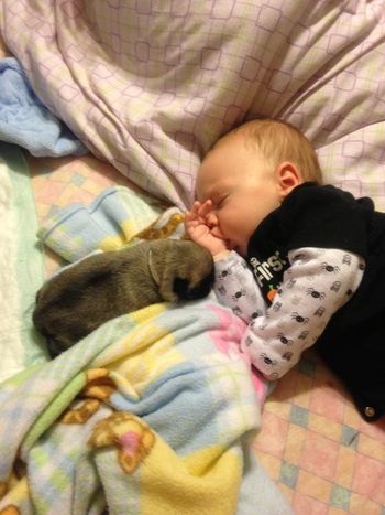 Sleeping babies
