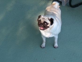 Mabel, formerly Opal.
