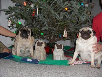 mabel on the right
