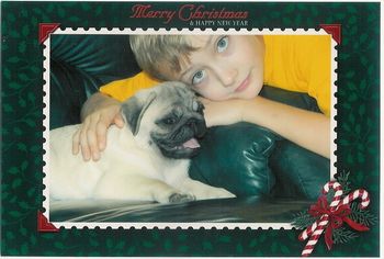 Percy and Christian. Rooney x Marilyn pup
