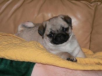 Baby Quinn
