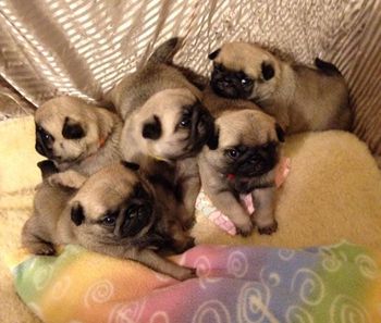 3 weeks old
