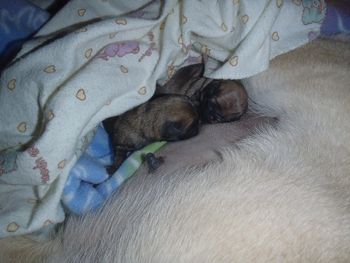 Loretta and Conway, one day old
