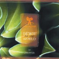 Wanaume: Spirit of the world (2021 Remastered) - 16 bits Wav files by Arnaud CHELET - AKA Jeremiah C