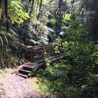Bridge by Time for Peace