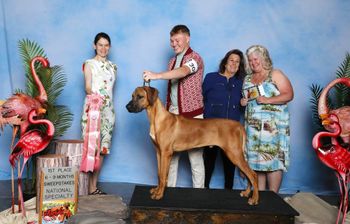 1st place in Puppy Sweeps at our National Specialty
