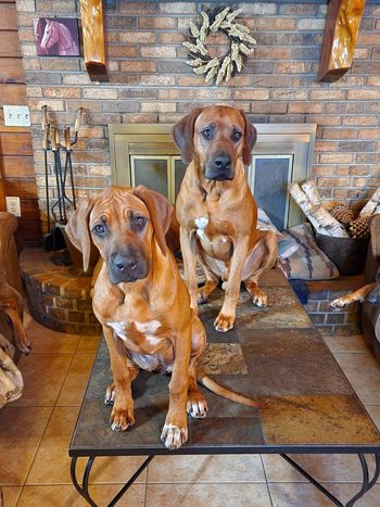 Sittin' pretty with my Pops!!

